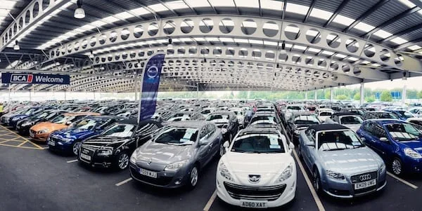 bca-offers-the-widest-choice-of-colours-for-customers