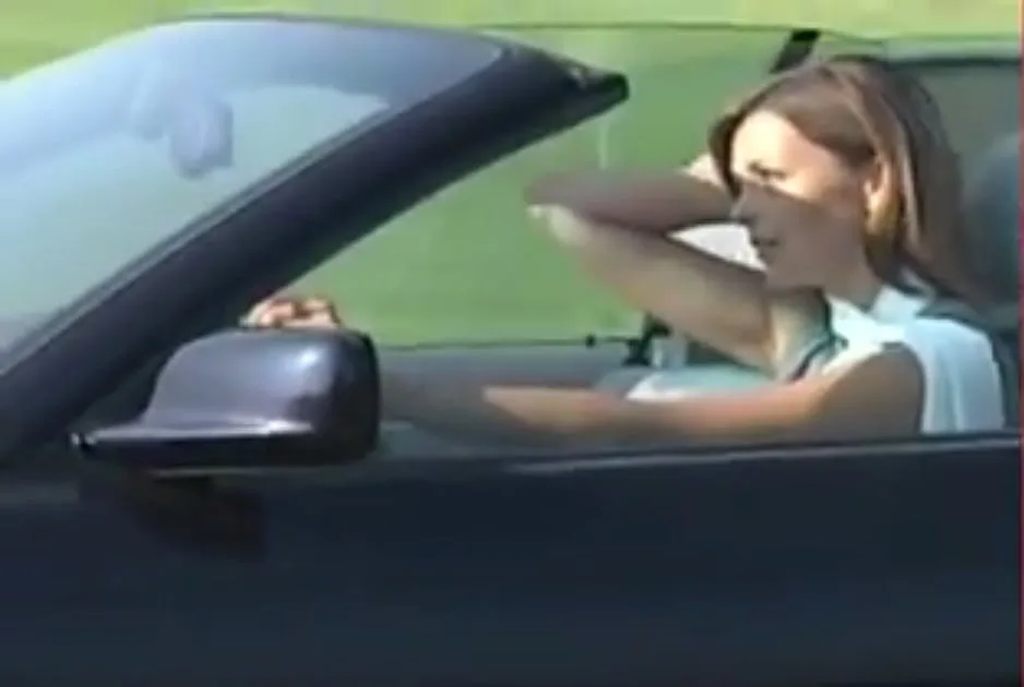 Wind Deflector