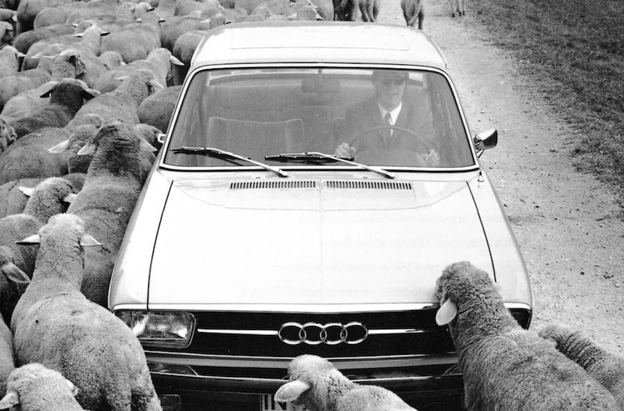 Audi100Sheep copy