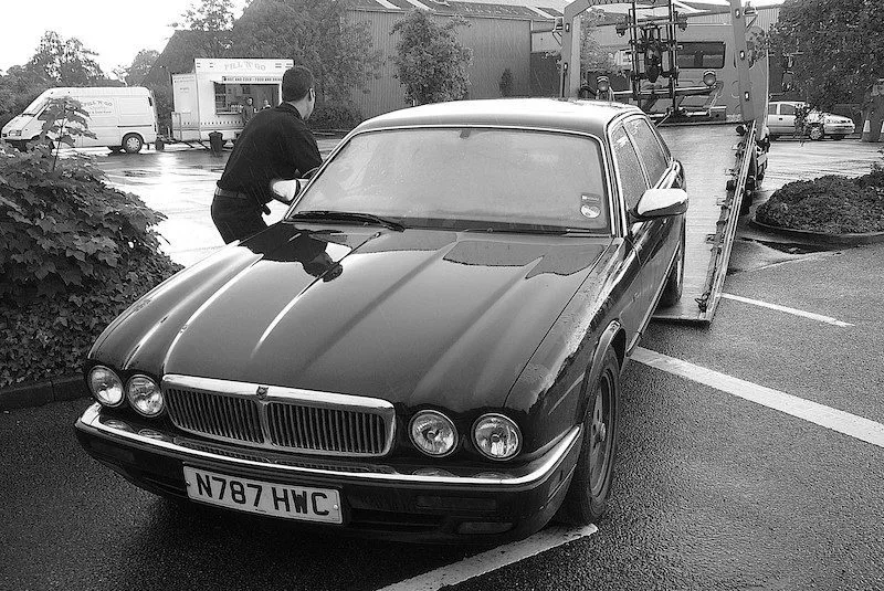 Jaguar_recovery copy